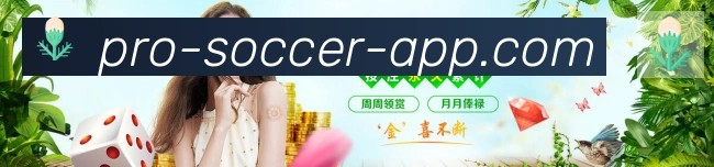 未来规划